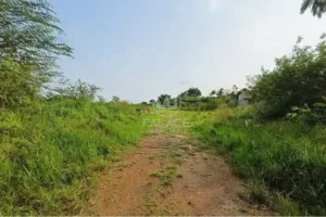 Terreno à venda e para alugar em Pau D’Alhinho, Piracicaba