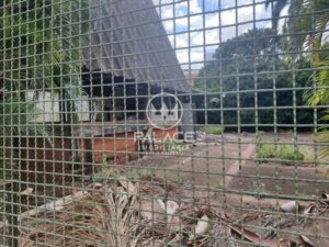 Terreno à venda em Alto, Piracicaba