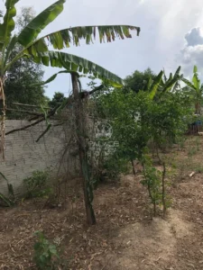 Terreno à venda em Jardim Nova Suíça, Piracicaba