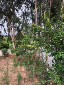 Terreno à venda em Jardim Nova Suíça, Piracicaba