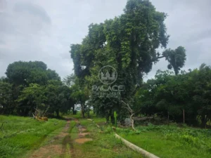 Terreno à venda em Ondinhas, Piracicaba