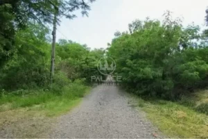 Terreno à venda e para alugar em Pau D’Alhinho, Piracicaba