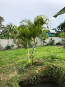 Terreno à venda em Jardim Nova Suíça, Piracicaba