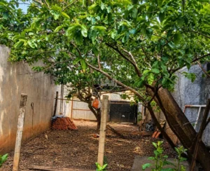 Terreno à venda em Parque Residencial Monte Rey, Piracicaba