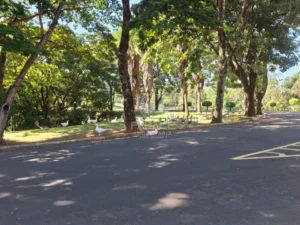 Terreno à venda em Colinas do Piracicaba (Ártemis), Piracicaba — Condominio Colinas de Piracicaba (Ártemis)