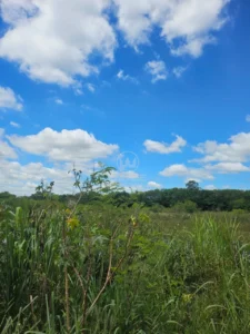 Terreno à venda em Campestre, Piracicaba