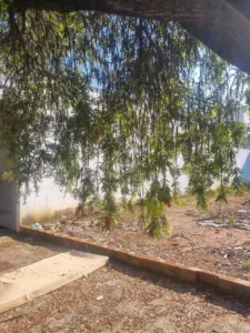 Terreno à venda em São Luiz, Piracicaba