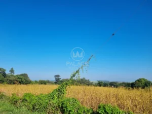 Terreno à venda em Campestre, Piracicaba