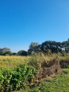 Terreno à venda em Campestre, Piracicaba