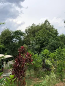 Terreno à venda em Jardim Nova Suíça, Piracicaba