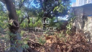 Terreno à venda em Piracicamirim, Piracicaba