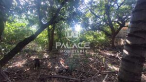 Terreno à venda em Piracicamirim, Piracicaba