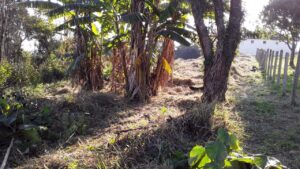 Terreno à venda em Centro, Piracaia