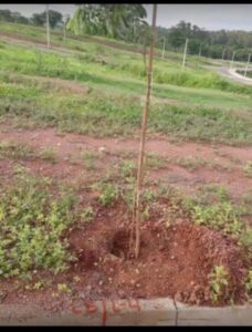 Terreno à venda em Residencial Santo Antônio, Piracicaba
