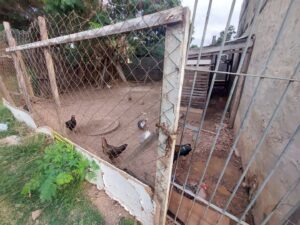 Terreno à venda em Vila Sônia, Piracicaba