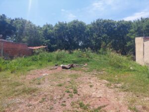 Terreno à venda em Vila Sônia, Piracicaba