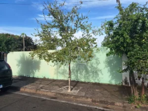Terreno à venda em Glebas Califórnia, Piracicaba