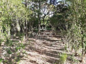 Terreno à venda em Colinas do Piracicaba (Ártemis), Piracicaba
