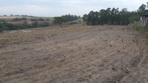 Terreno à venda em Nossa Senhora da Aparecida, Saltinho