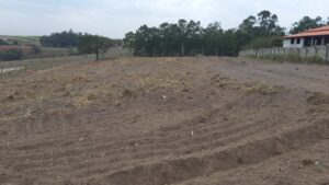 Terreno à venda em Nossa Senhora da Aparecida, Saltinho