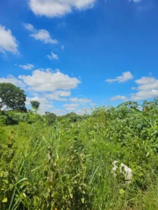 Terreno à venda em Campestre, Piracicaba