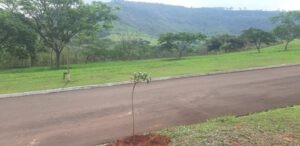 Terreno à venda em Centro, São Pedro