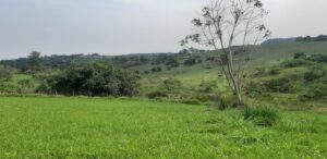 Terreno à venda em Centro, São Pedro