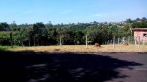 Terreno à venda em Altos Do Jardim Botânico, São Pedro
