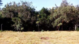 Terreno à venda em Altos Do Jardim Botânico, São Pedro