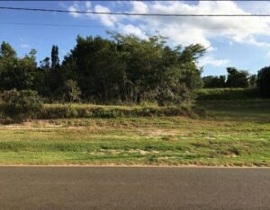Terreno à venda em Condomínio Ninho Verde II, Pardinho