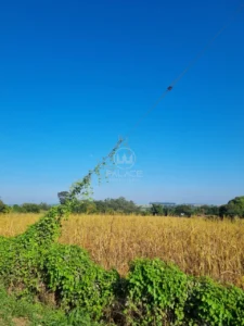Terreno à venda em Campestre, Piracicaba