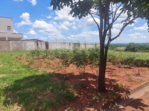 Terreno à venda em Taquaral, Piracicaba