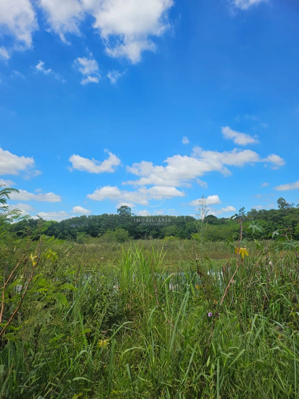 Terreno à venda em Campestre, Piracicaba