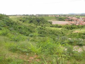 Terreno à venda em Campestre, Piracicaba