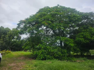Terreno à venda em Ondinhas, Piracicaba