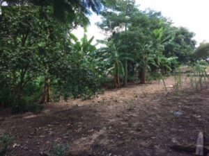 Terreno à venda em Vila Industrial, Piracicaba