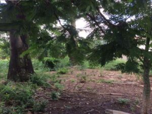 Terreno à venda em Vila Industrial, Piracicaba
