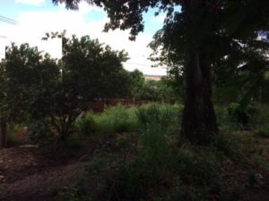 Terreno à venda em Vila Industrial, Piracicaba