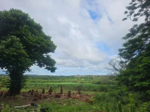 Terreno à venda em Ondinhas, Piracicaba