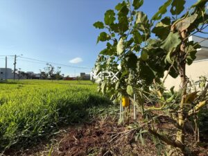 Terreno à venda no Residencial Reserva Jardins em Piracicaba