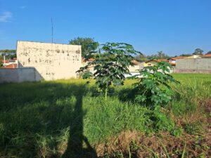Terreno à venda em Potiguar, Piracicaba