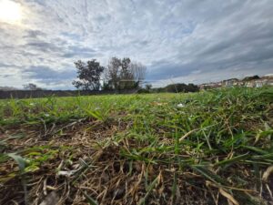 Terreno à venda em Nossa Senhora de Fátima, Piracicaba
