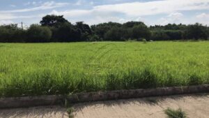 Terreno à venda em Santa Terezinha, Piracicaba