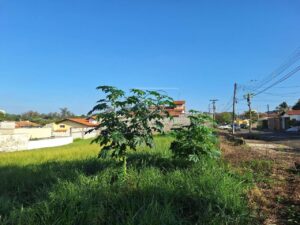 Terreno à venda em Potiguar, Piracicaba