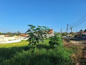 Terreno à venda em Potiguar, Piracicaba