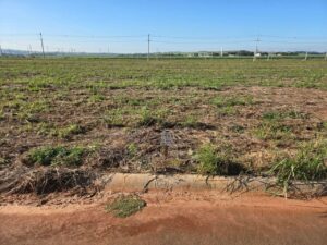 Terreno à venda em Residencial Fazenda Pinheirinho, Rio das Pedras — Residencial Fazenda Pinheirinhoho