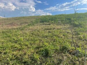 Terreno à venda em Jardim São Francisco, Piracicaba