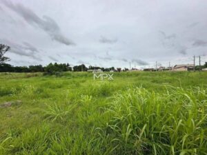 Terreno à venda em Saltinho, Nova Saltinho, com 175 m²