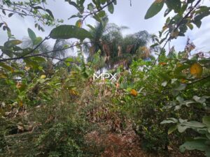 Terreno à venda no bairro Nossa Senhora Aparecida em Piracicaba