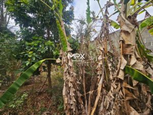 Terreno à venda no bairro Nossa Senhora Aparecida em Piracicaba